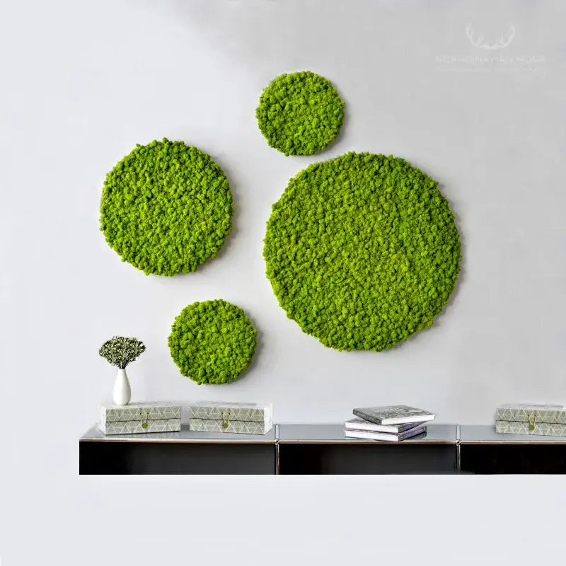 Frameless Reindeer Moss Wall Panels Round decor in interior DecorMania UK
